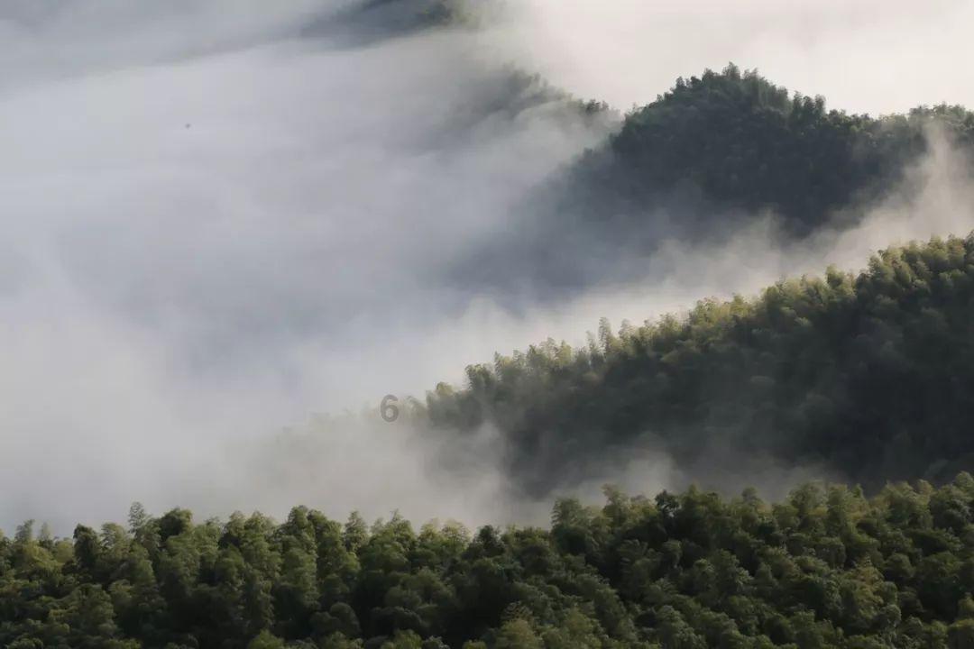 崩坏3
